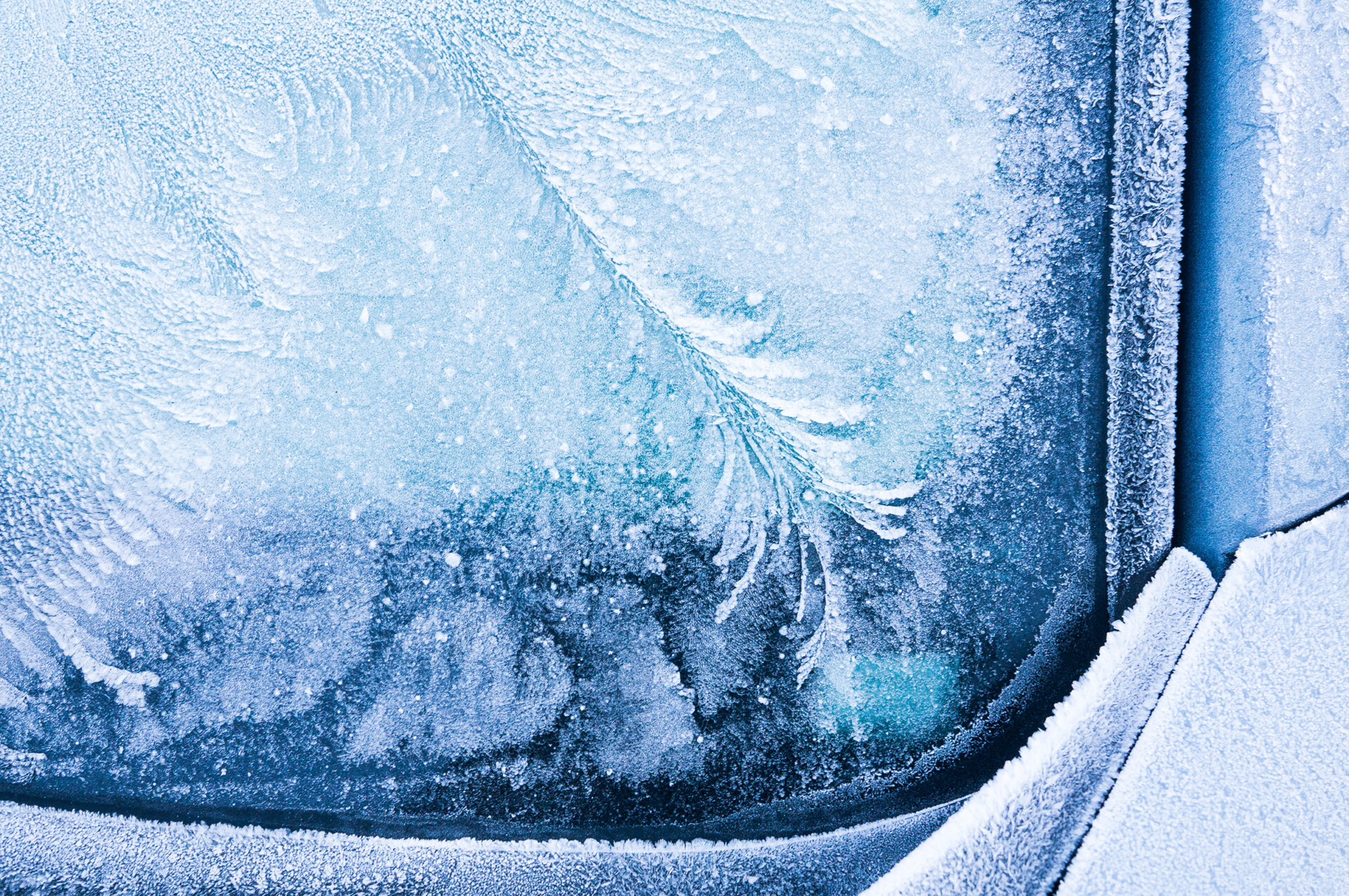 Fleurs de glace,,gelées.par,le,froid,le,gel,forme,des,cristaux,de,glace,dans,un,magnifique,unique